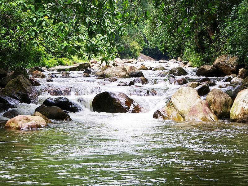 Peter'S Coffee Creek Nature Resort Meppadi Екстер'єр фото
