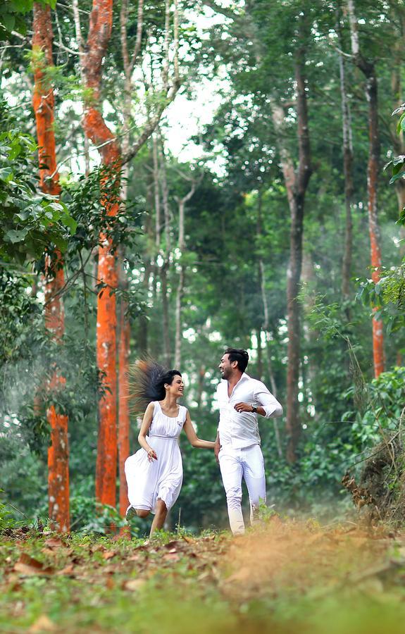Peter'S Coffee Creek Nature Resort Meppadi Екстер'єр фото