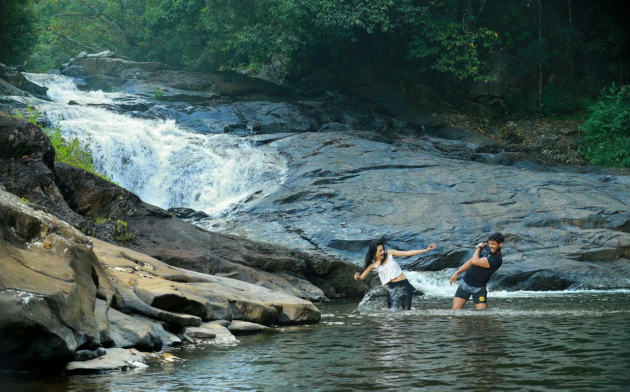 Peter'S Coffee Creek Nature Resort Meppadi Екстер'єр фото