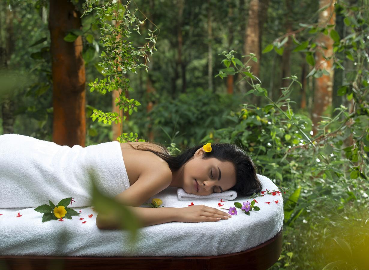 Peter'S Coffee Creek Nature Resort Meppadi Екстер'єр фото